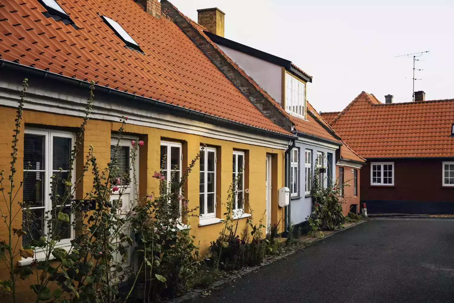 21 Bold Brick Paint Colors That Will Transform Your Home's Exterior 13 European-Esque Mustard Yellow