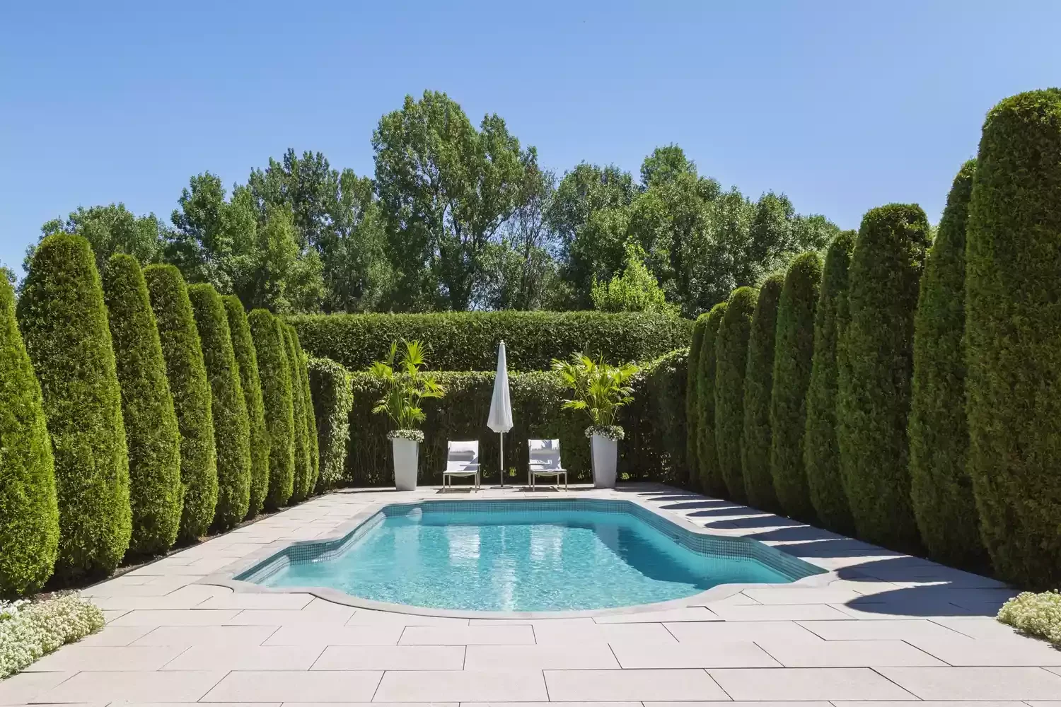 16 Pool Landscaping Ideas That Transform Your Area Evergreens and Hedges