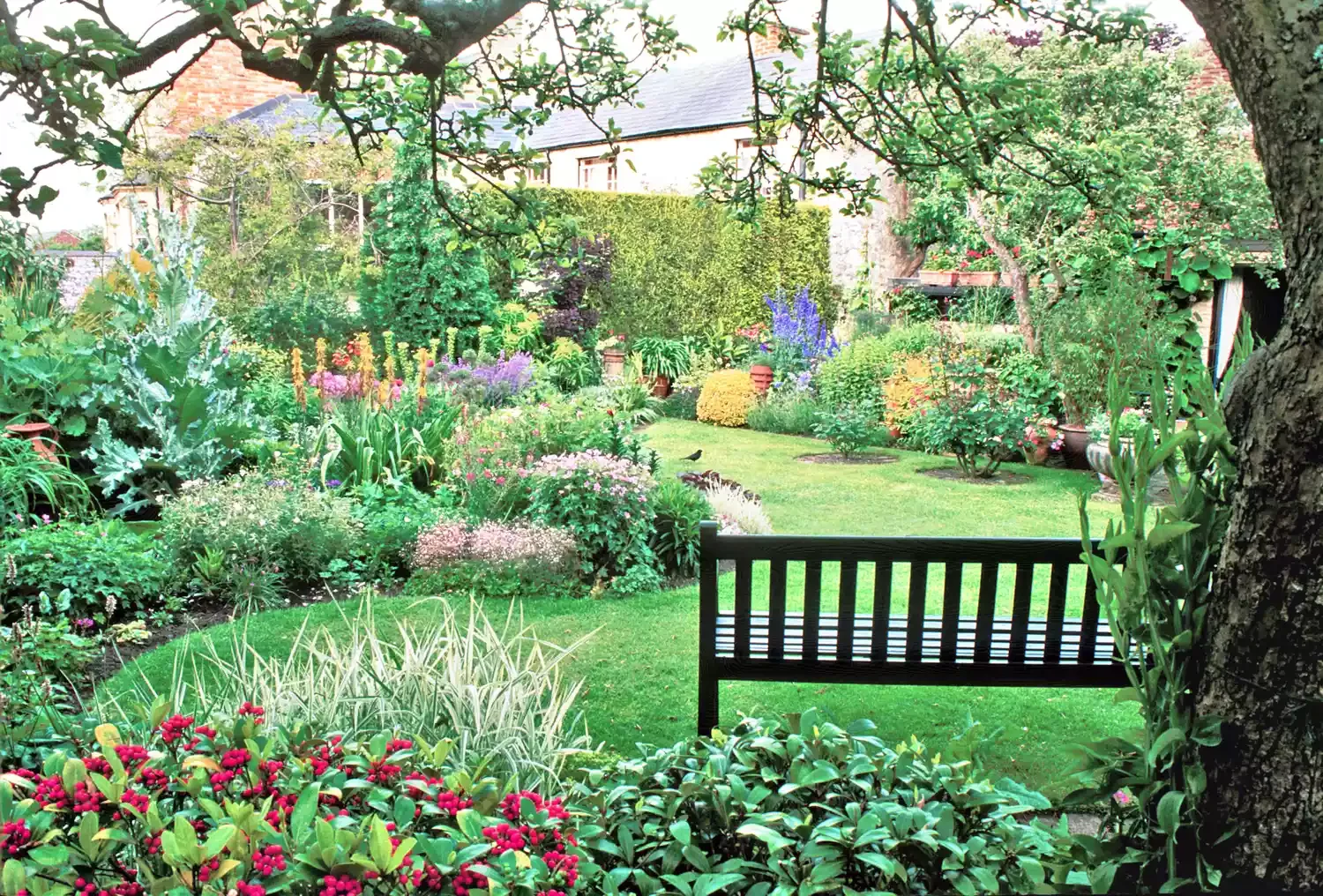Expand Your Garden Space With Curves