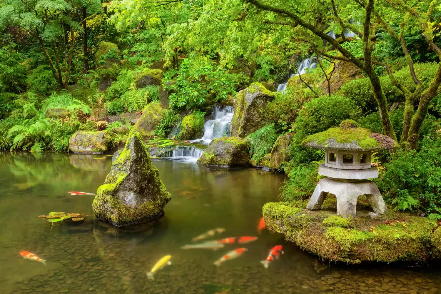 24 Beautiful Koi Pond Designs to Transform Your Outdoor Space Extra Features