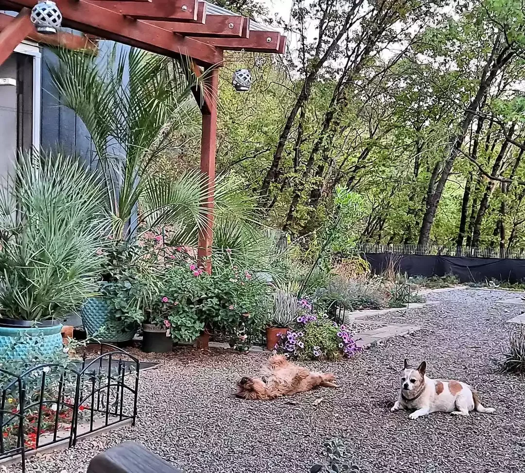 20 Creative and Budget-Friendly Gravel Patio Design Ideas 12 Facilitate a Social Setting