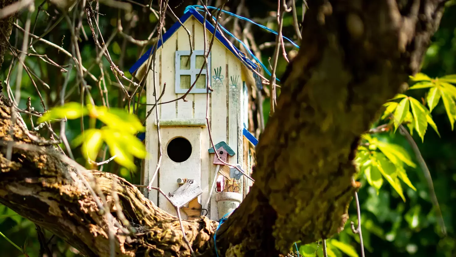 26 Whimsical Fairy Garden Ideas That Will Transform Your Backyard Into Pure Magic Fairy Bird Houses