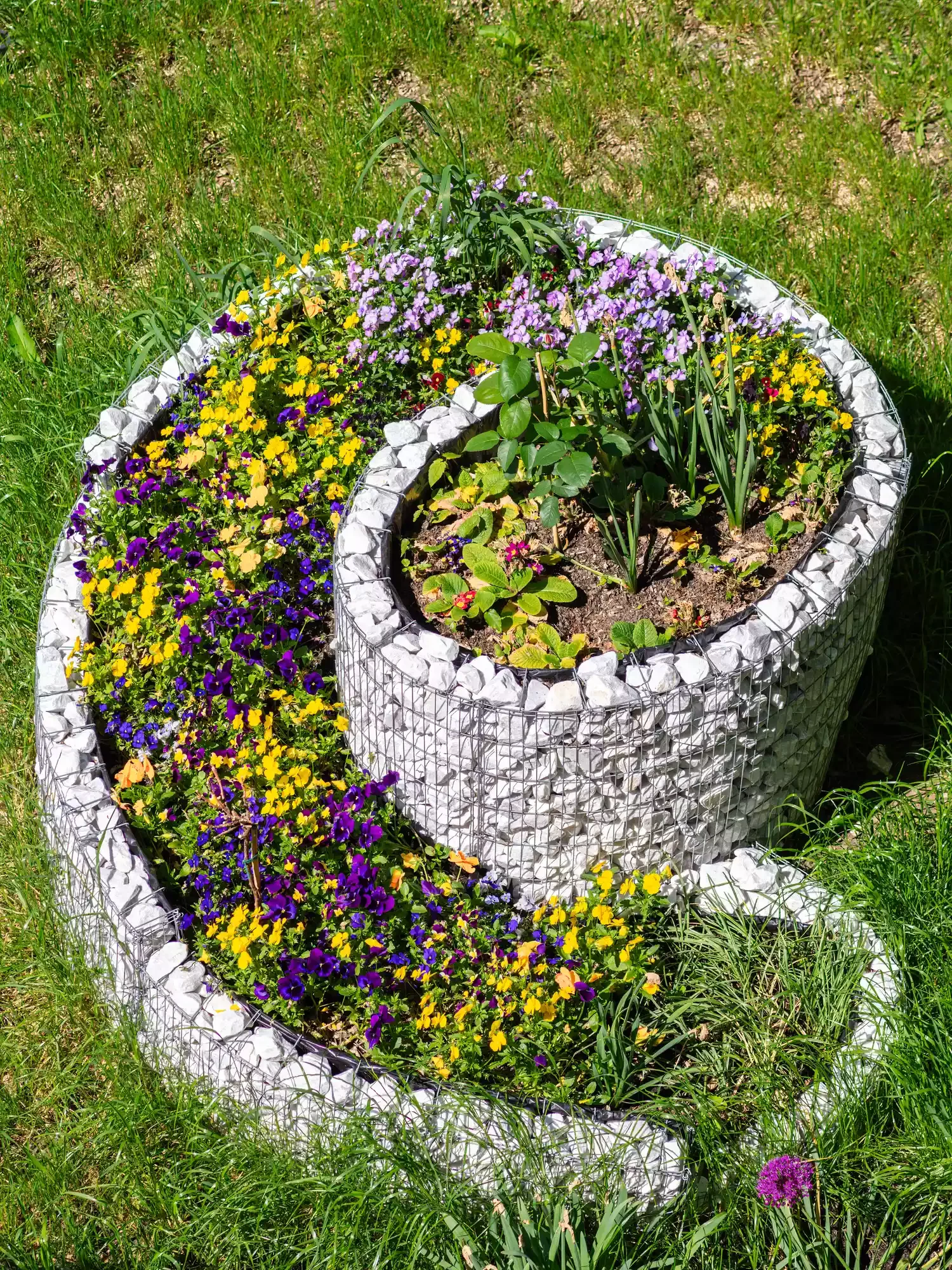 26 Whimsical Fairy Garden Ideas That Will Transform Your Backyard Into Pure Magic Fairy Ring