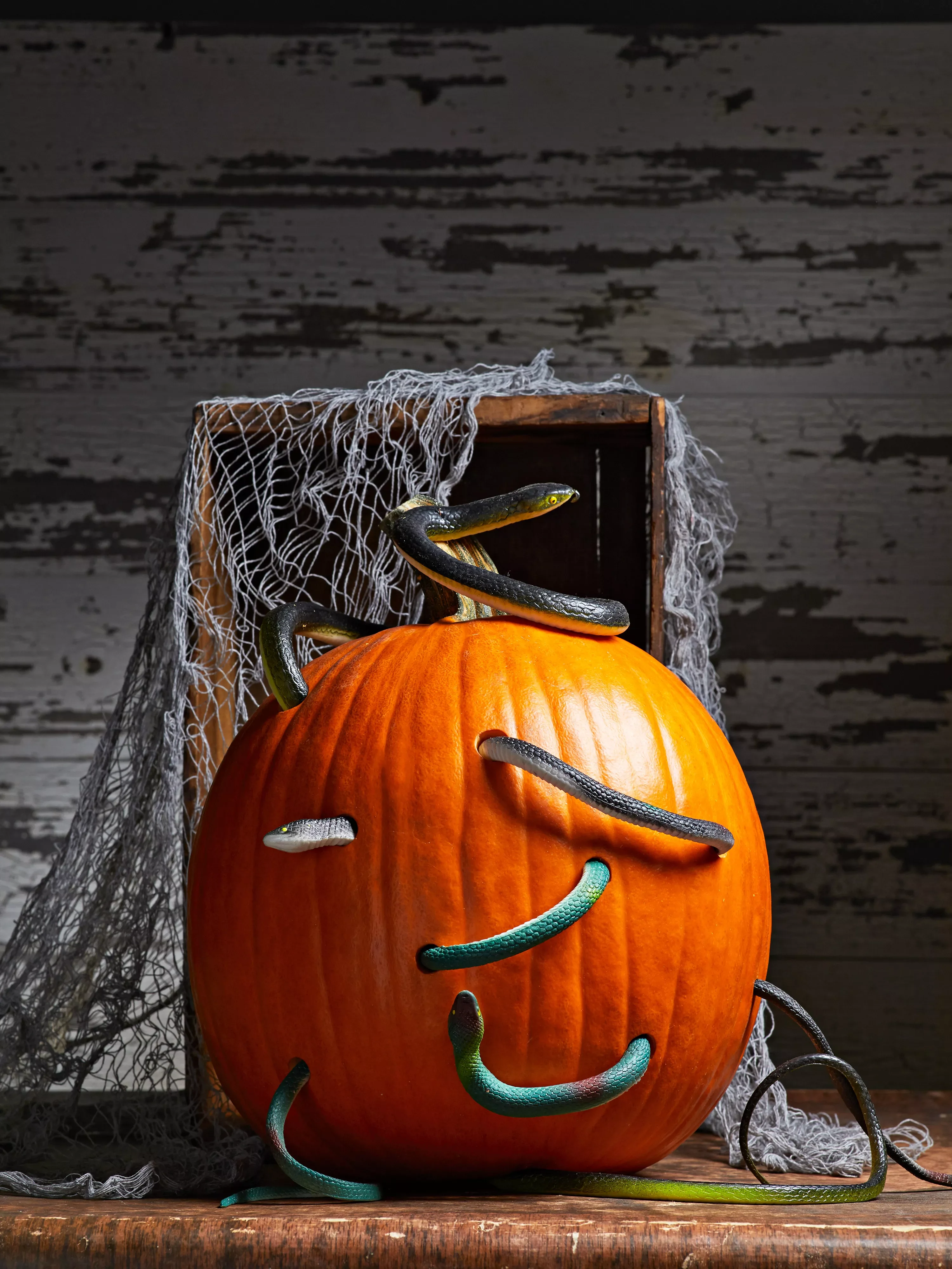 65 Free Pumpkin Carving Templates to Transform Your Porch 25 Fake Snakes