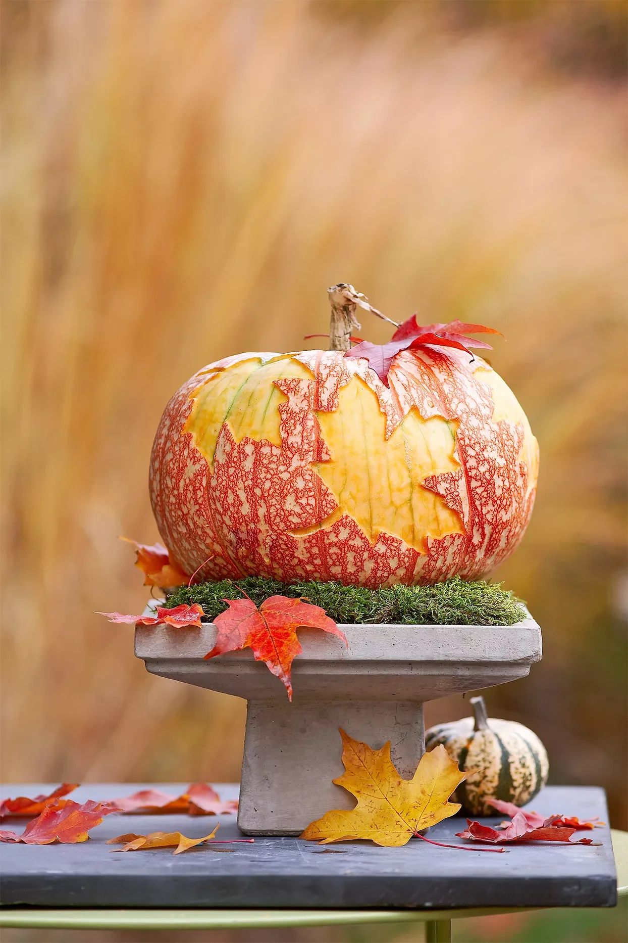 65 Free Pumpkin Carving Templates to Transform Your Porch 44 Fall Leaves Pumpkin Carving Stencils