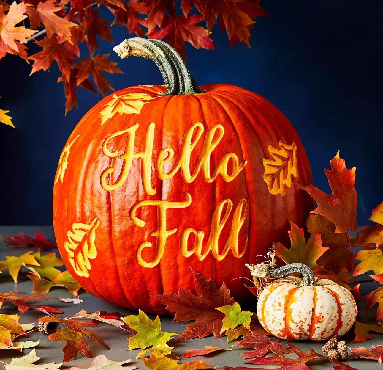 65 Free Pumpkin Carving Templates to Transform Your Porch 59 Fall Quote Pumpkin