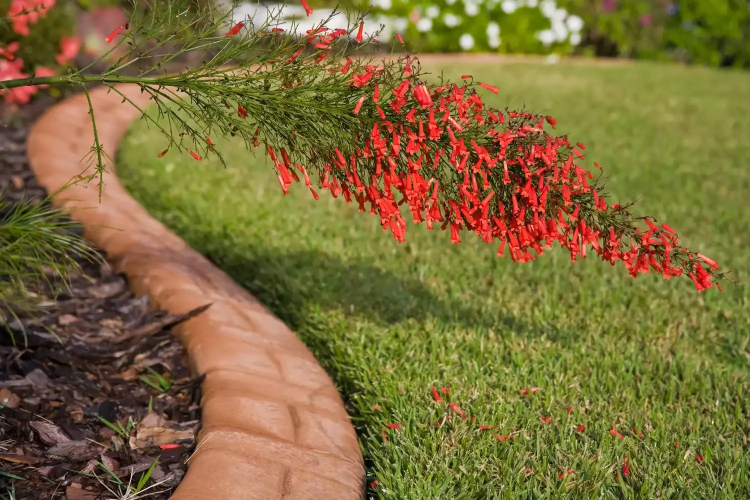 30 Affordable and Creative Ways to Define Your Garden Boundaries Faux Stone Border