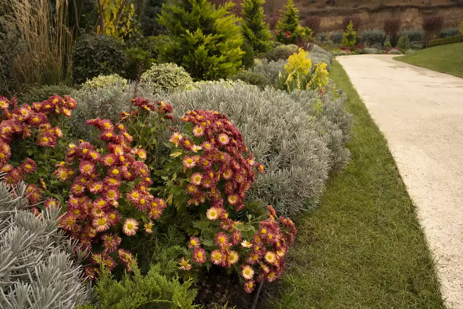 30 Stunning Fall Decor Ideas to Transform Your Outdoor Space Into an Autumn Paradise 2 Feature Classic Fall Mums