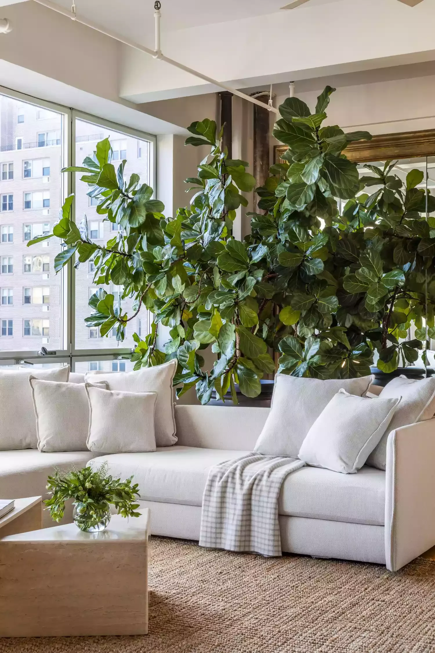35 Spacious Living Room Ideas That Will Transform Your Large Space 4 Feature a Huge Houseplant