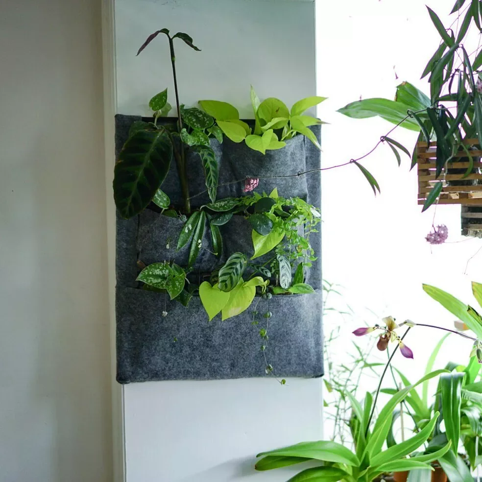 26 Stunning Plant Wall Ideas That'll Transform Your Home Into a Green Paradise 24 Felt Pocket Plant Wall