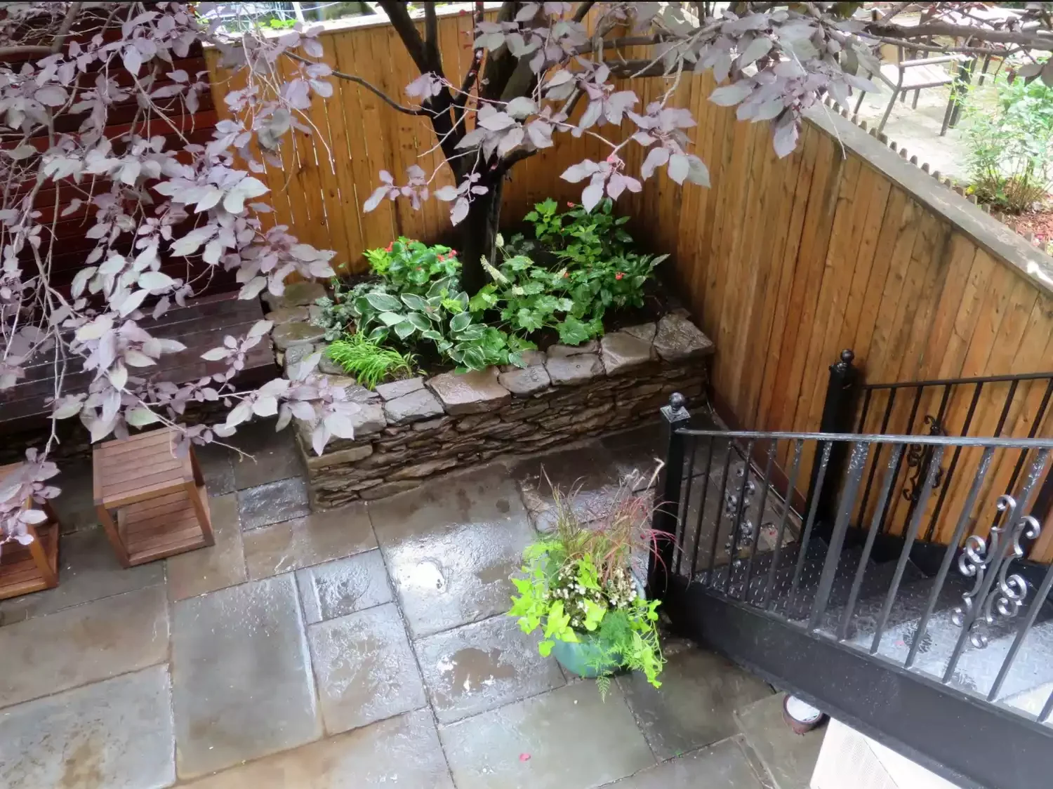 15 Creative Ways to Transform the Space Around Your Trees Fill In With Hostas and Firecracker Plants