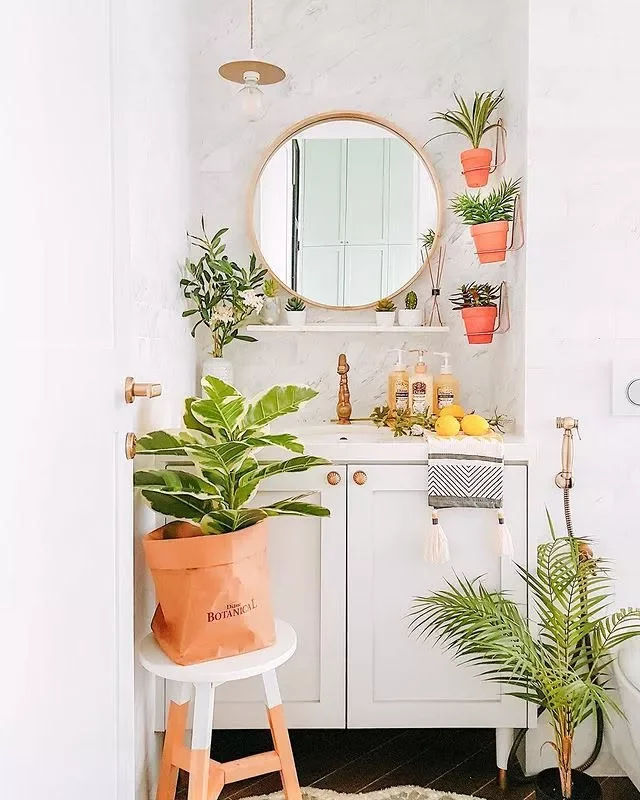 15 Indoor Plant Room Ideas to Create Your Personal Green Paradise 7 Fill Your Bathroom with Humidity-Loving Plants