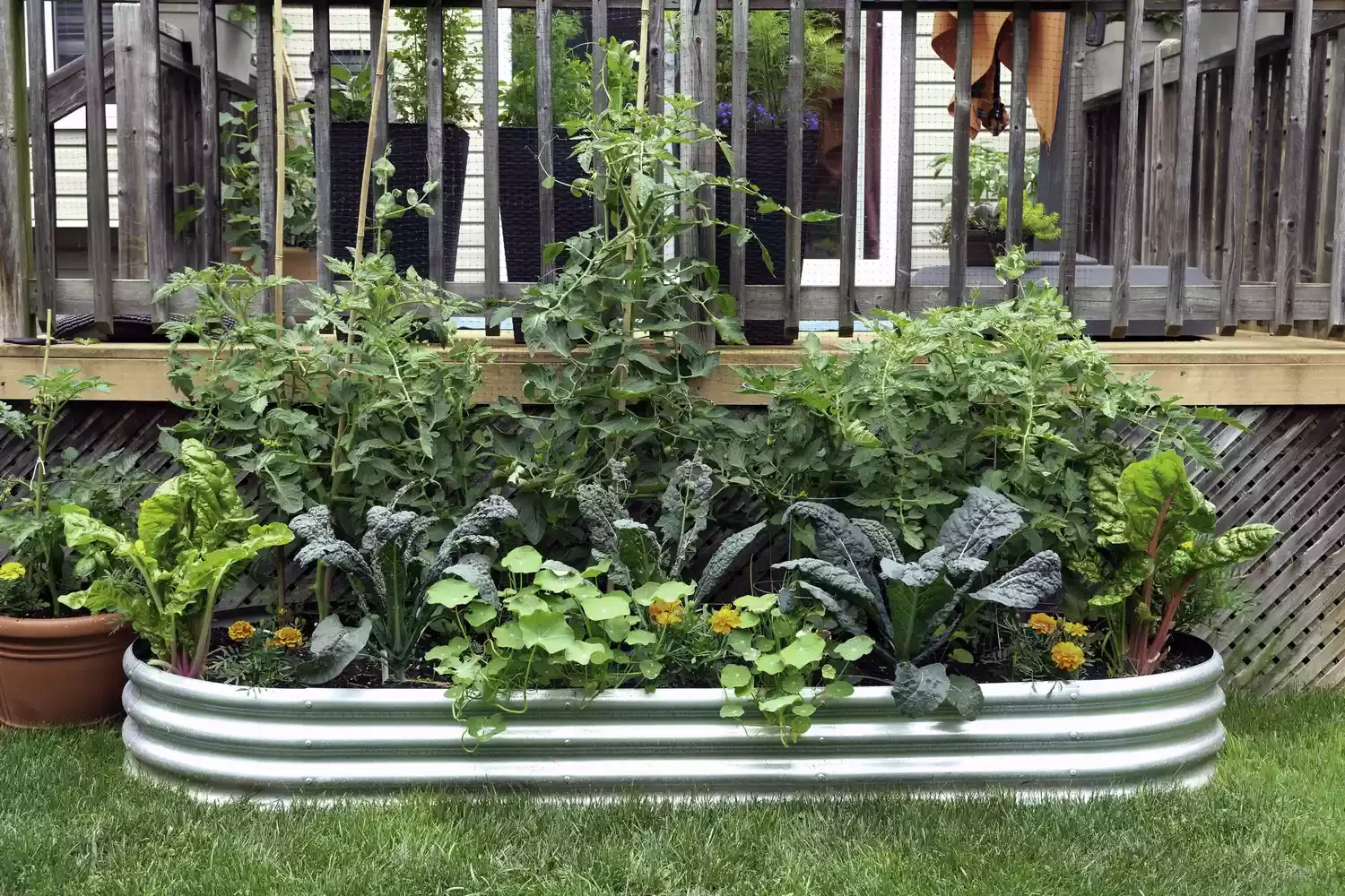26 Vegetables Garden Ideas That Keep Your Home Stocked with Year-Round Fill a Metal Bed With a Medley of Veggies