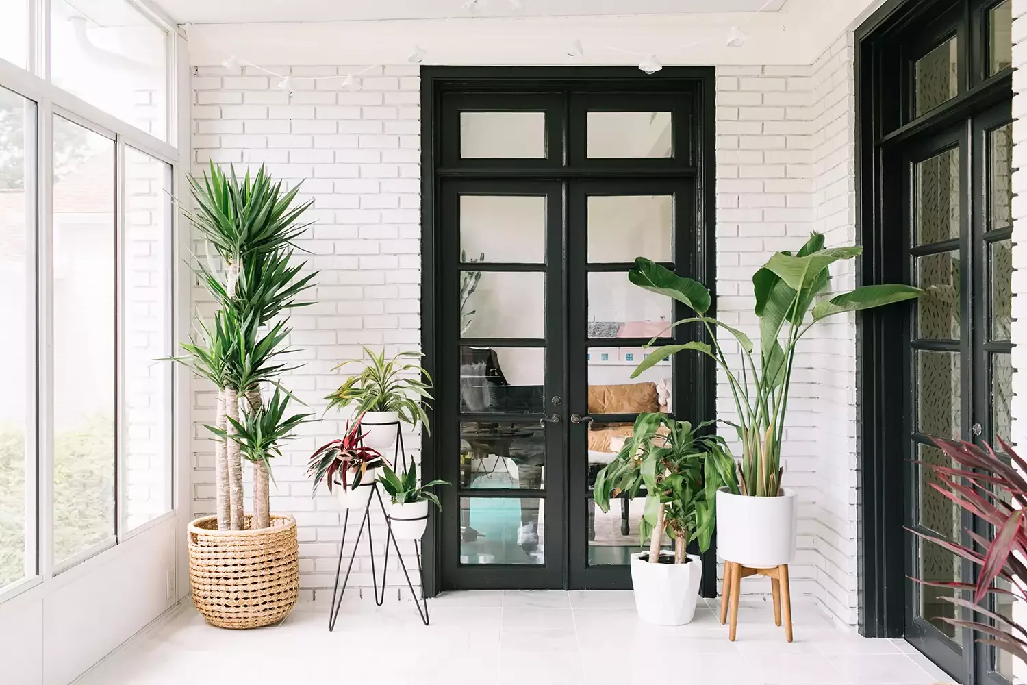 50 Stunning Sunroom Ideas That Transform Your Home Into a Light-Filled Paradise 3 Fill the Space With Plants
