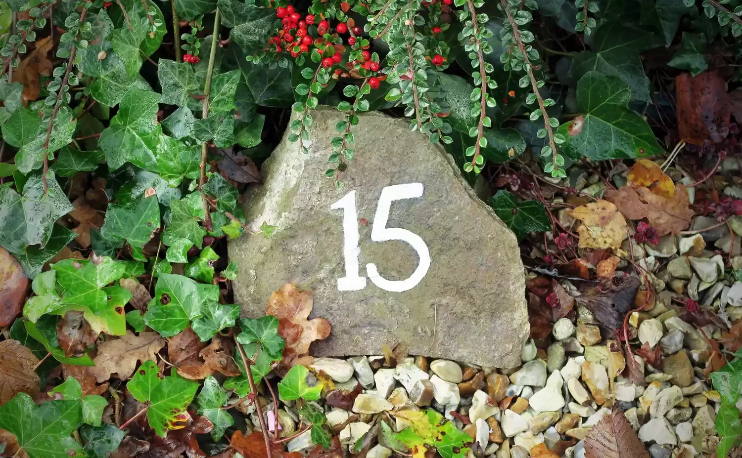 40 Creative House Number Ideas That Will Transform Your Home's Curb Appeal Fit With Nature