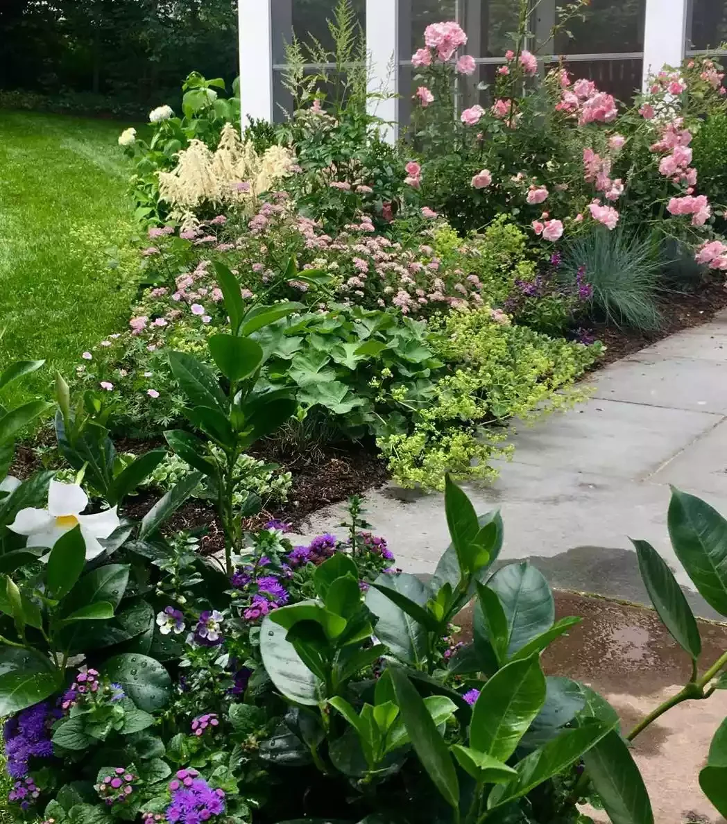 37 Stunning Flower Bed Designs That Will Transform Your Garden Flank a Walkway