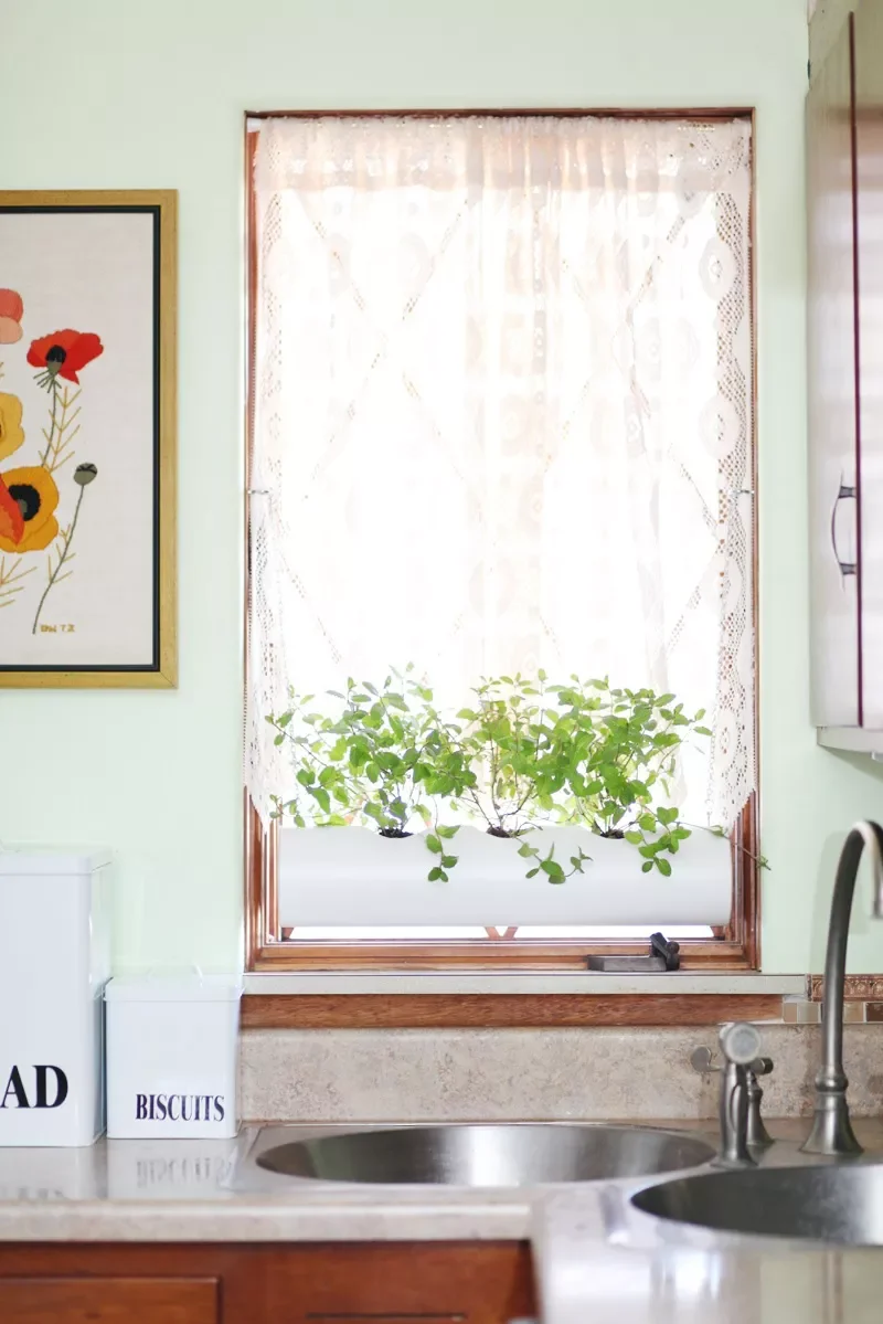 Floating Window Planter