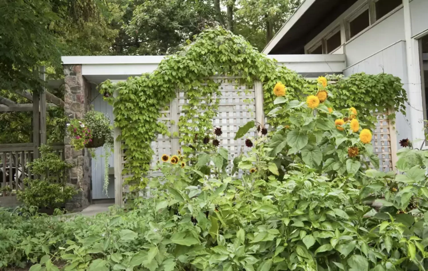 Flower Trellis