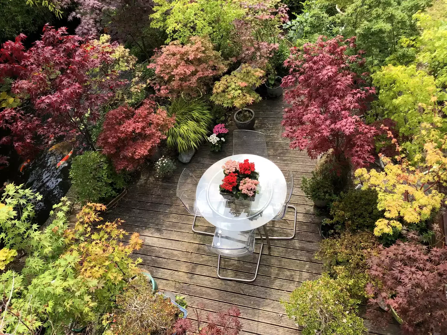 15 Creative Deck Skirting Ideas to Transform Your Outdoor Space 11 Foliage Deck Skirting