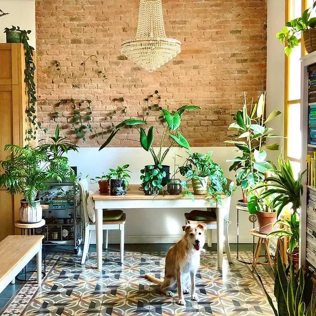 15 Indoor Plant Room Ideas to Create Your Personal Green Paradise 14 Foliage-Filled Dining