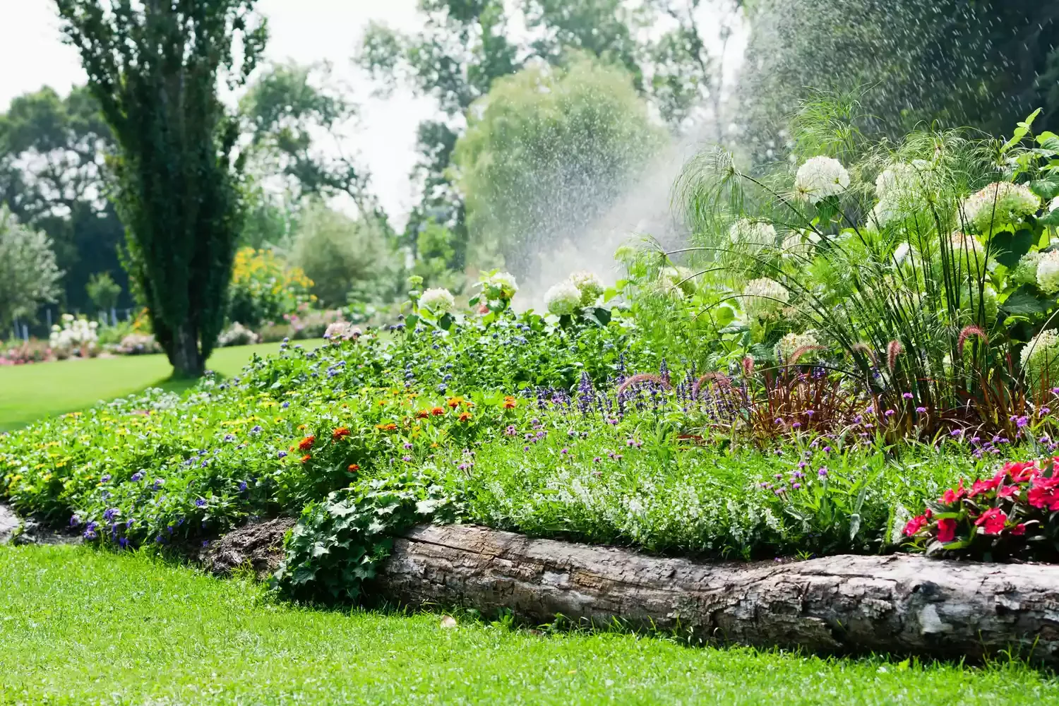 30 Affordable and Creative Ways to Define Your Garden Boundaries Formal Meets Rustic Edge