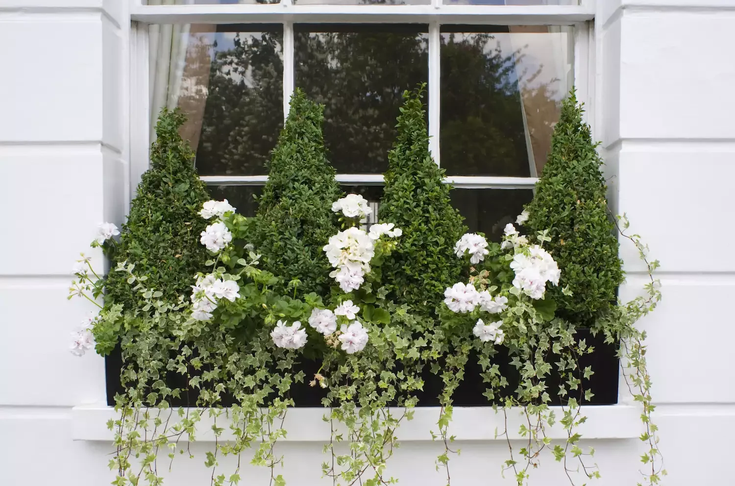 13 Stunning Winter Window Box Designs That'll Transform Your Home's Curb Appeal 2 Formal and Symmetrical