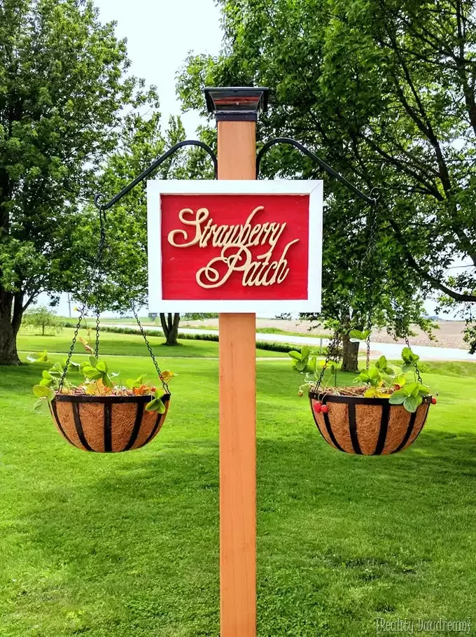 35 Creative DIY Garden Projects to Transform Your Outdoor Space Free-Standing Strawberry Garden