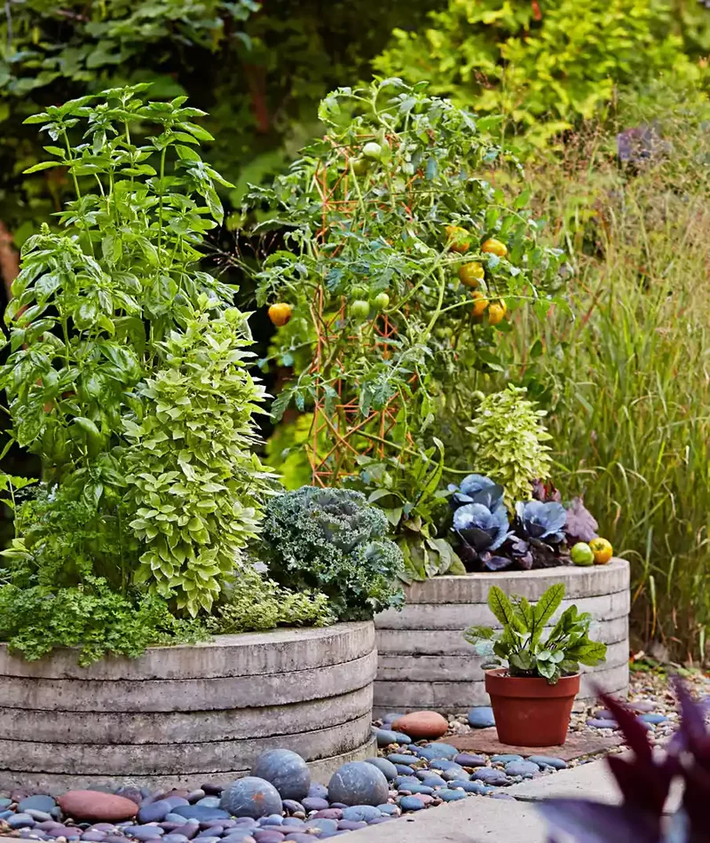 Fresh Approach to Raised Beds