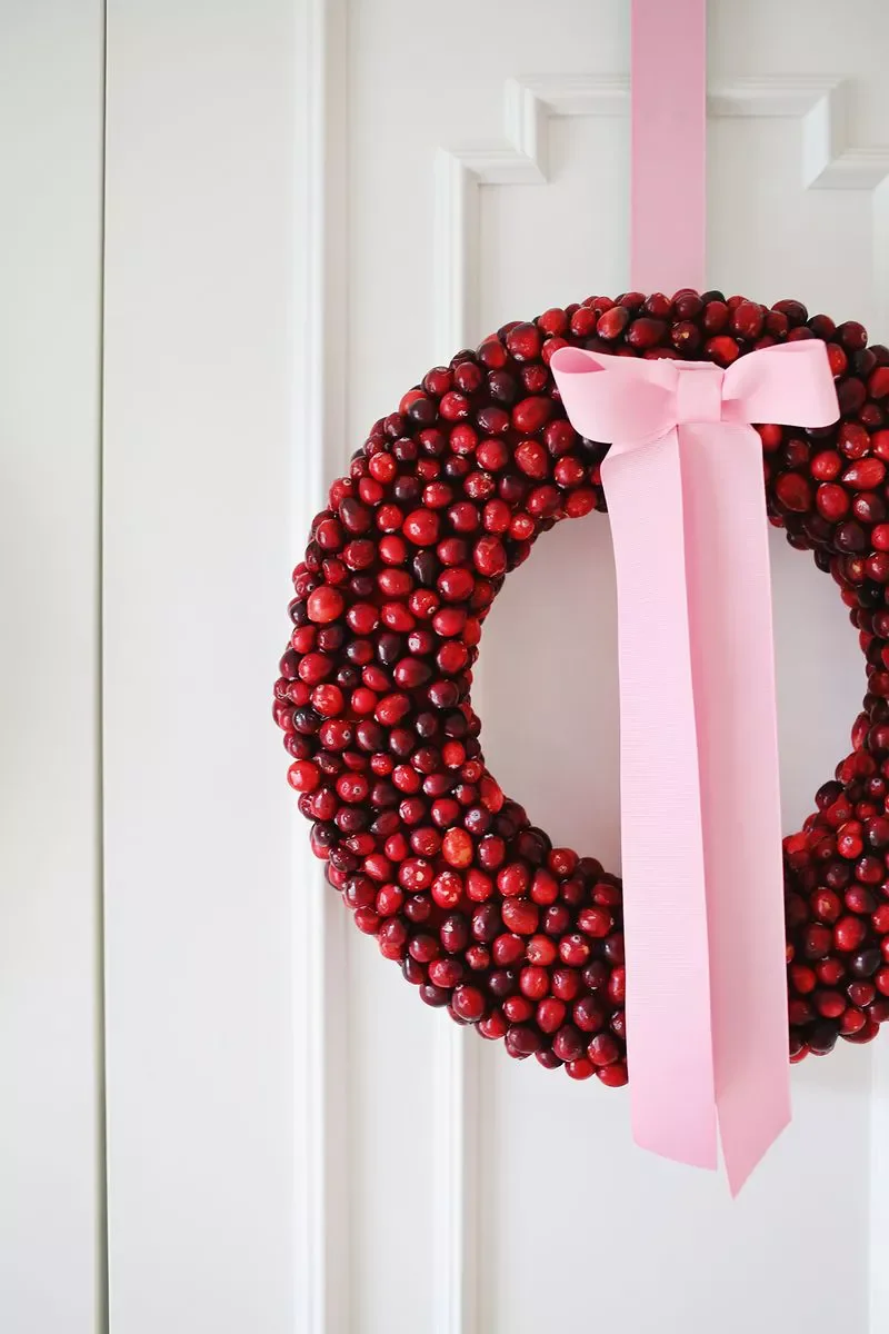 75 Stunning DIY Holiday Wreath Ideas to Transform Every Space in Your Home 31 Fresh Cranberry Wreath