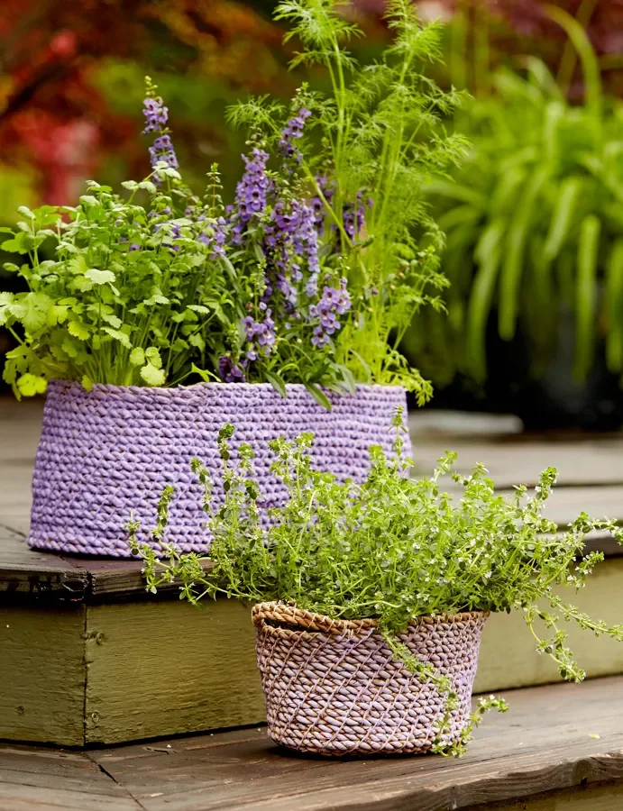 Fresh Herbs at the Doorstep