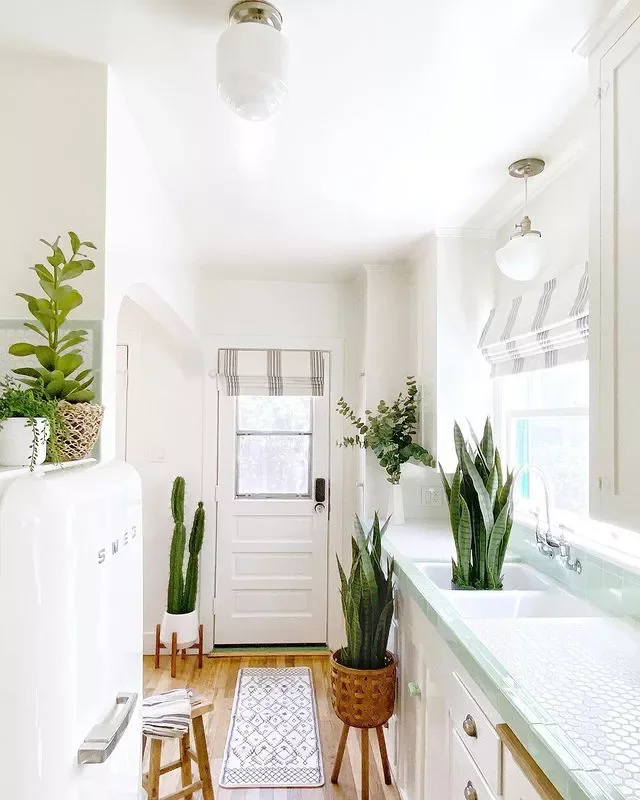 25 Stunning Entryway Rug Ideas That Create Unforgettable First Impressions 17 Freshen It Up