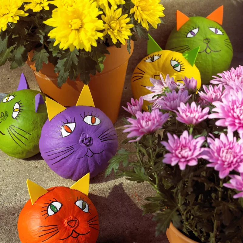 46 Creative Pumpkin Painting Ideas for Fall Home Decor 32 Friendly Halloween Cat Pumpkins