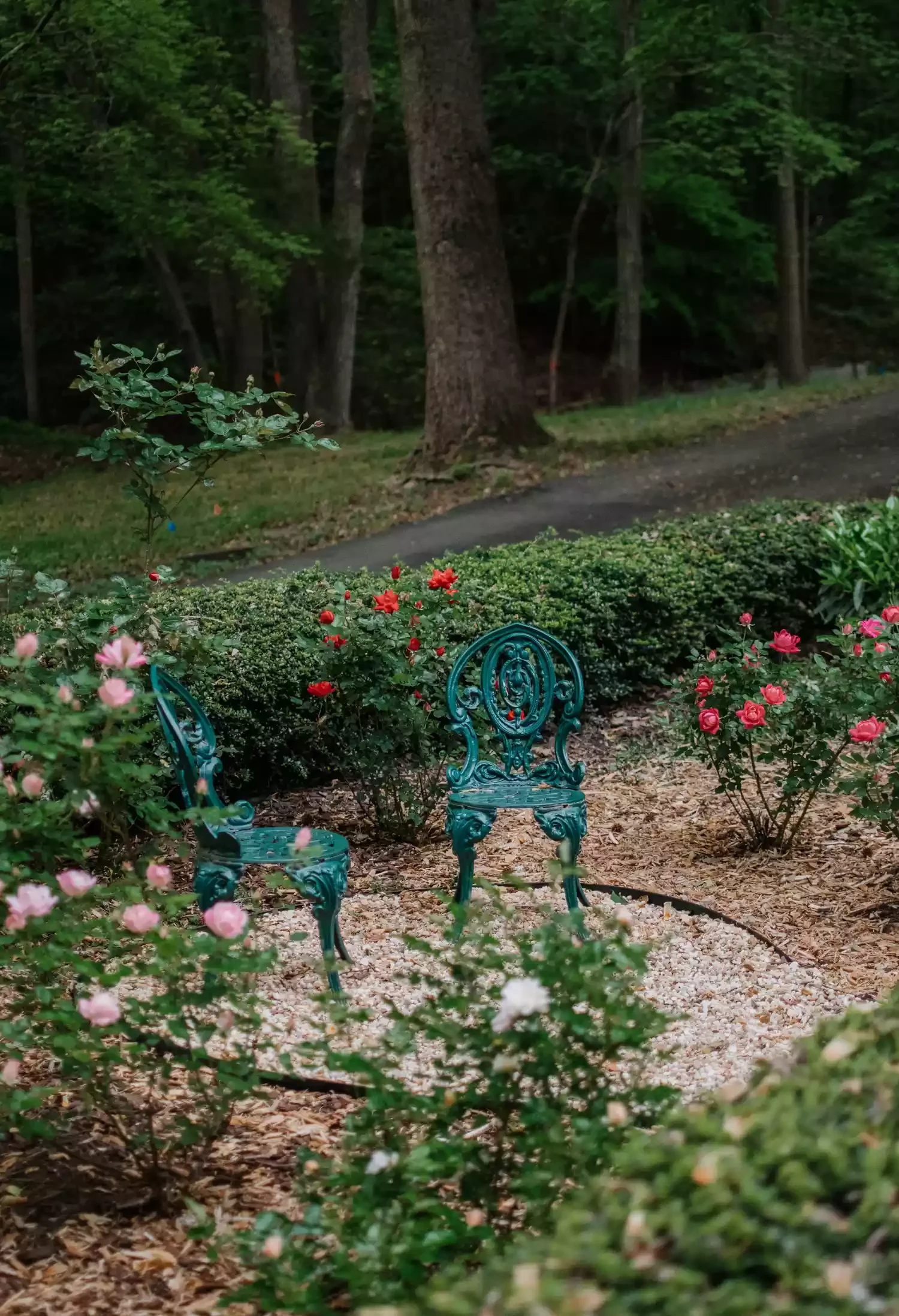 82 Stunning Front Yard Landscaping Ideas to Transform Your Home's Curb Appeal This Spring Front Yard Rose Garden Retreat