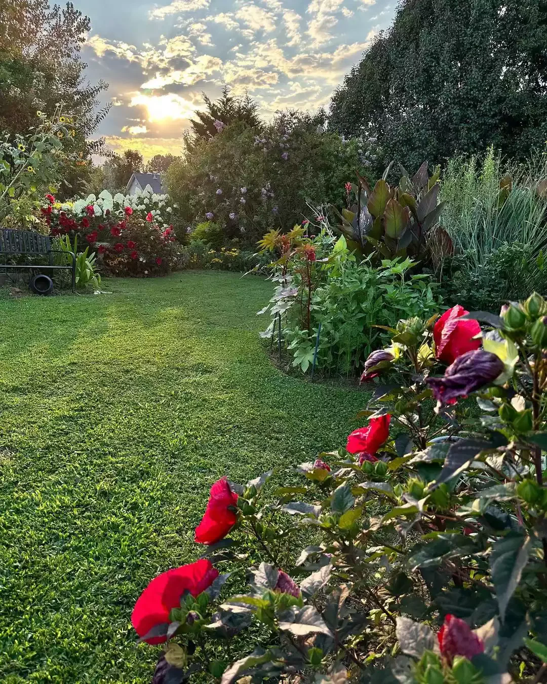 35 Corner Garden Designs That Transform Every Outdoor Space Full Corner Garden