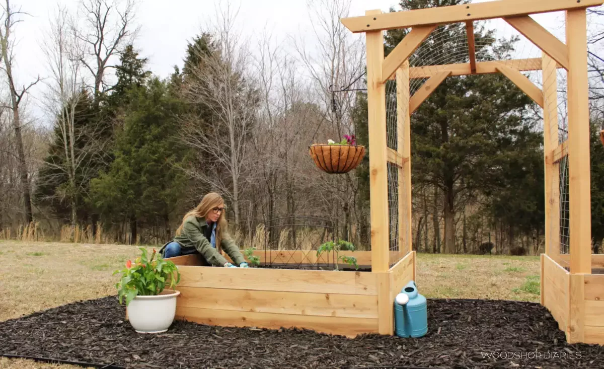 13 Beautiful DIY Garden Arch Projects to Transform Your Outdoor Space Garden Beds with Arch