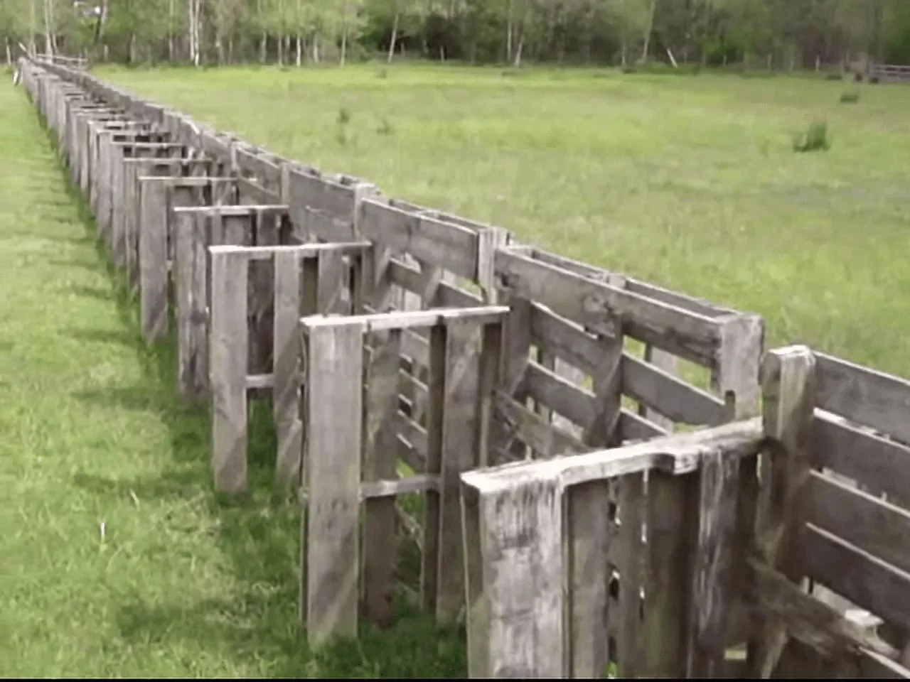 15 Creative Ways to Transform Wooden Pallets Into Stunning Garden Decor 10 Garden Fence