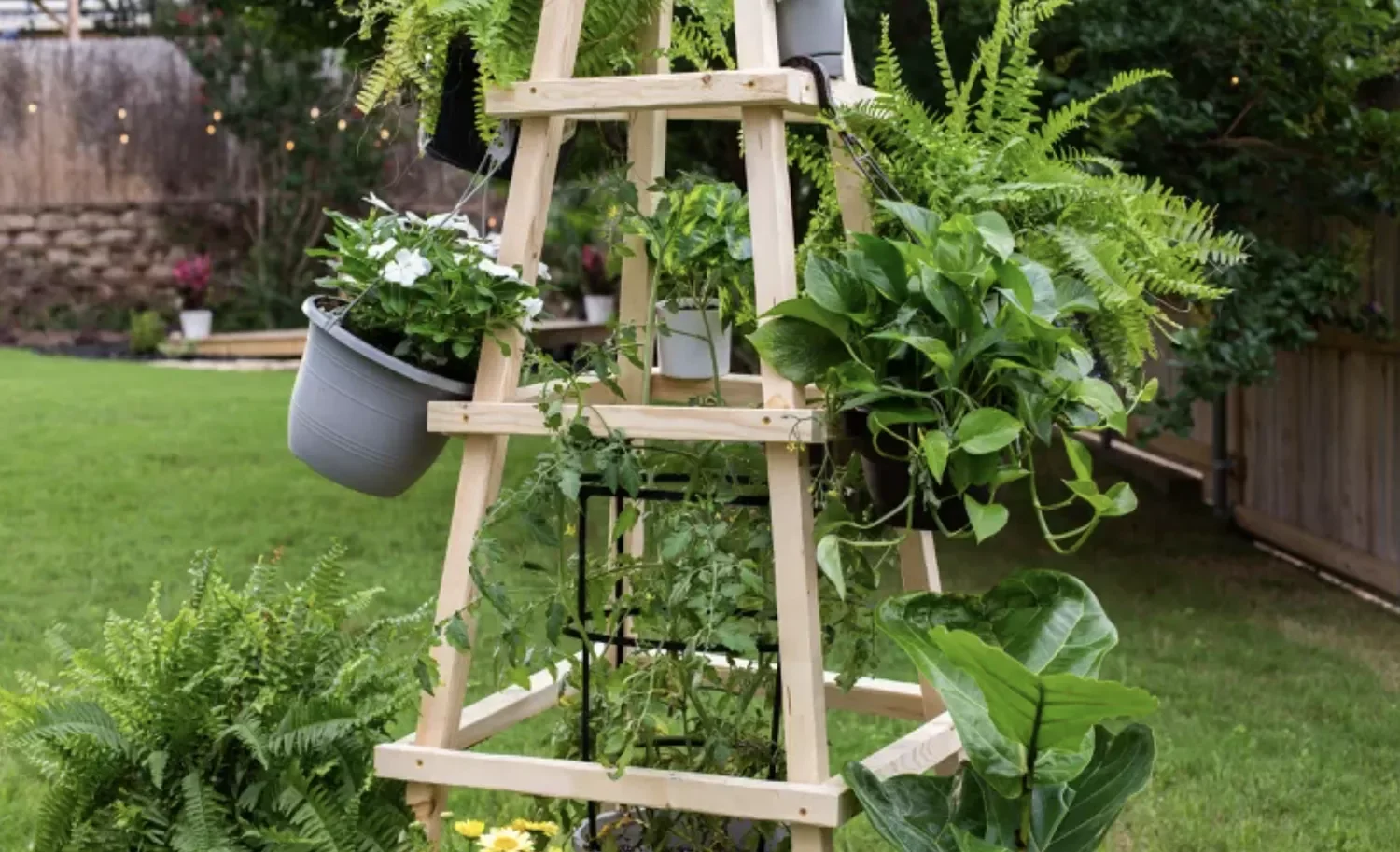 Garden Obelisk Trellis