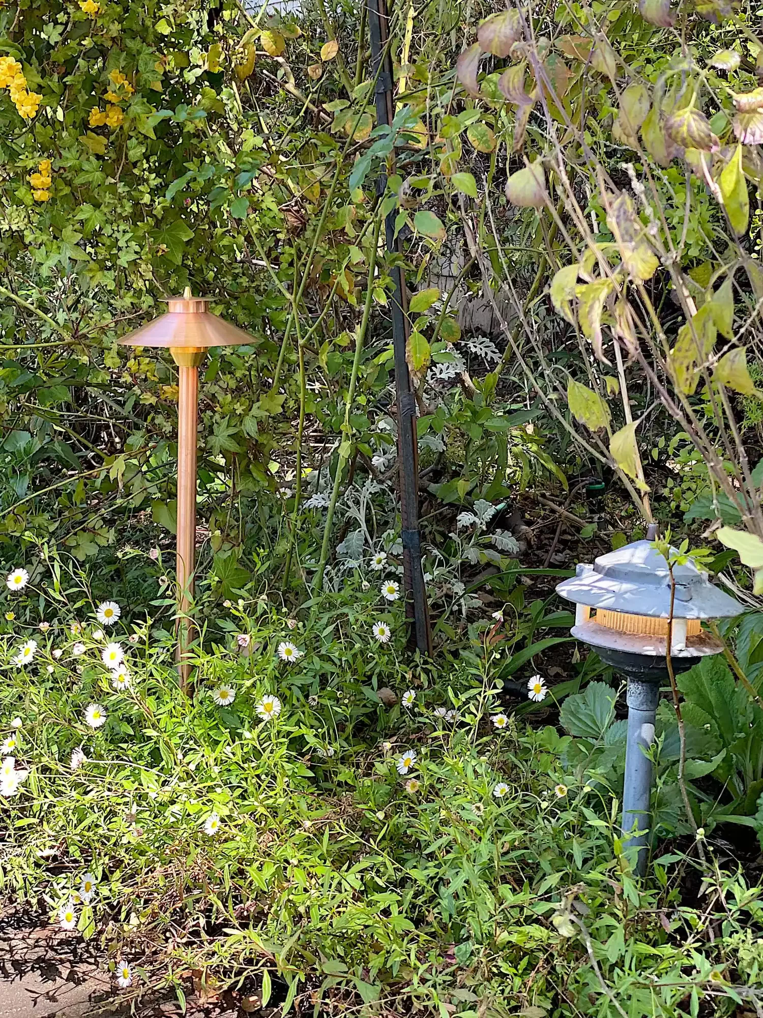 26 Backyard Lighting Ideas That Completely Transform Outdoors Garden Stake Lights