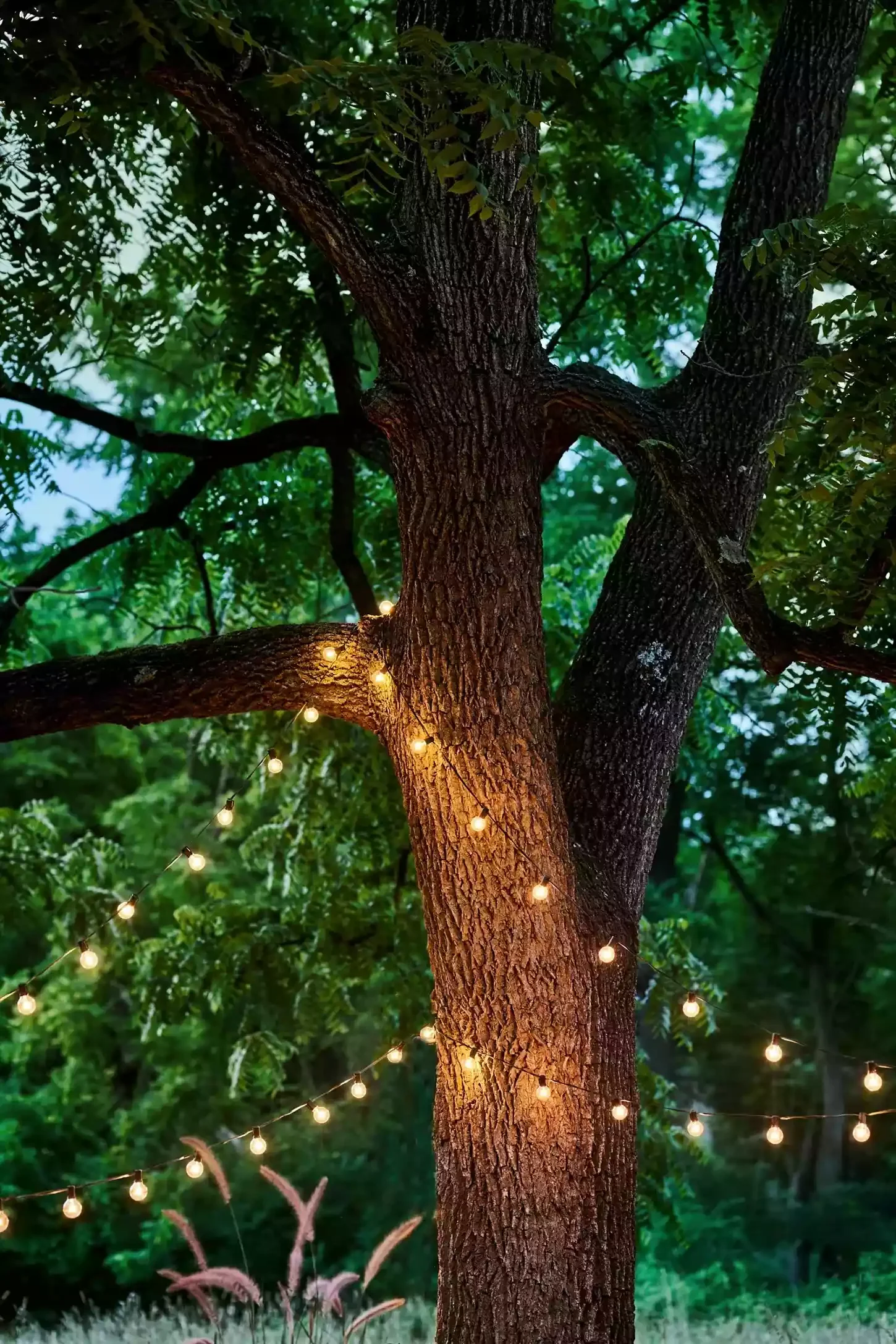 15 Stunning Garden Path Lighting Ideas That Transform Your Outdoor Space Garden Strand Lights