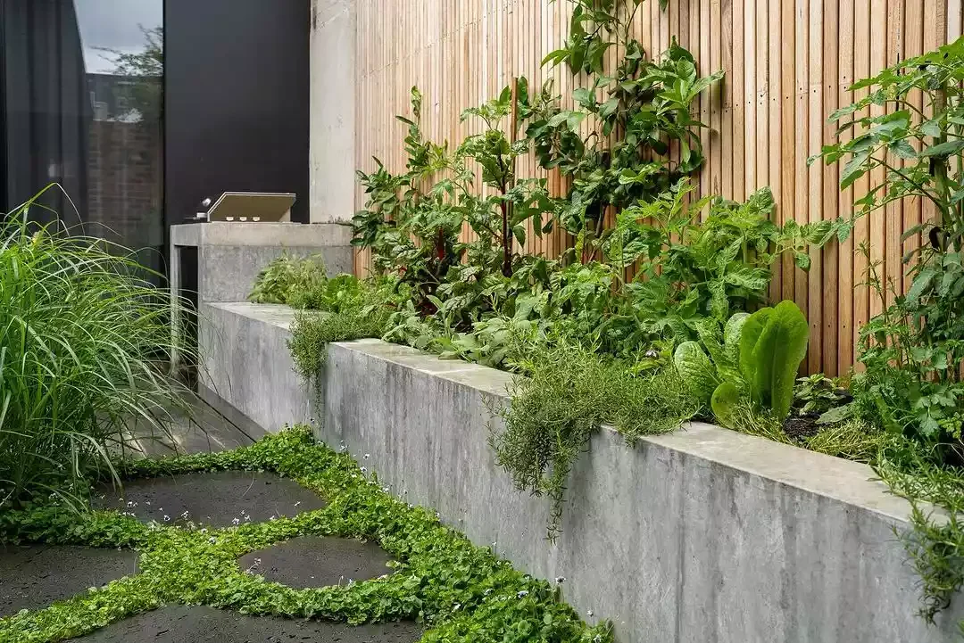 Garden Wall Around Garden Bed