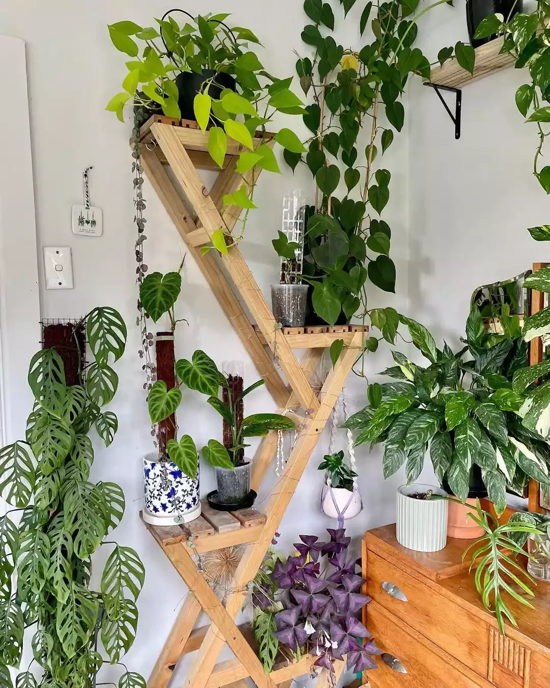 15 Creative Plant Display Ideas That'll Transform Your Home Into a Green Paradise 8 Get Angular