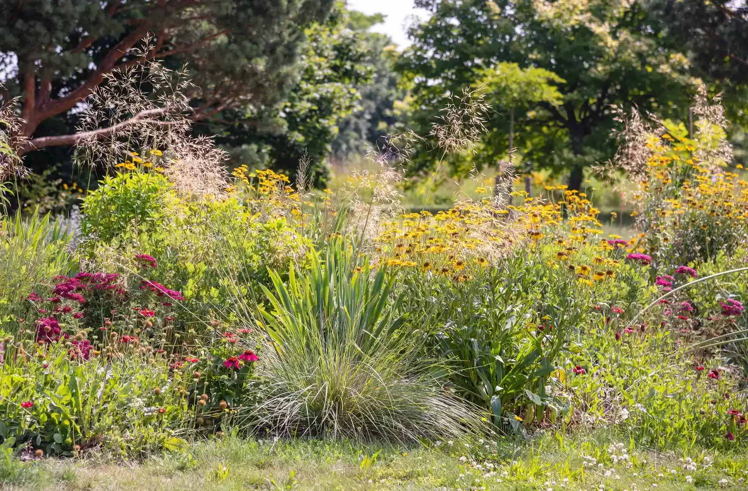 25 Breathtaking Desert Landscaping Ideas That Thrive in Hot Climates Get Drought-Tolerant Ornamental Grass