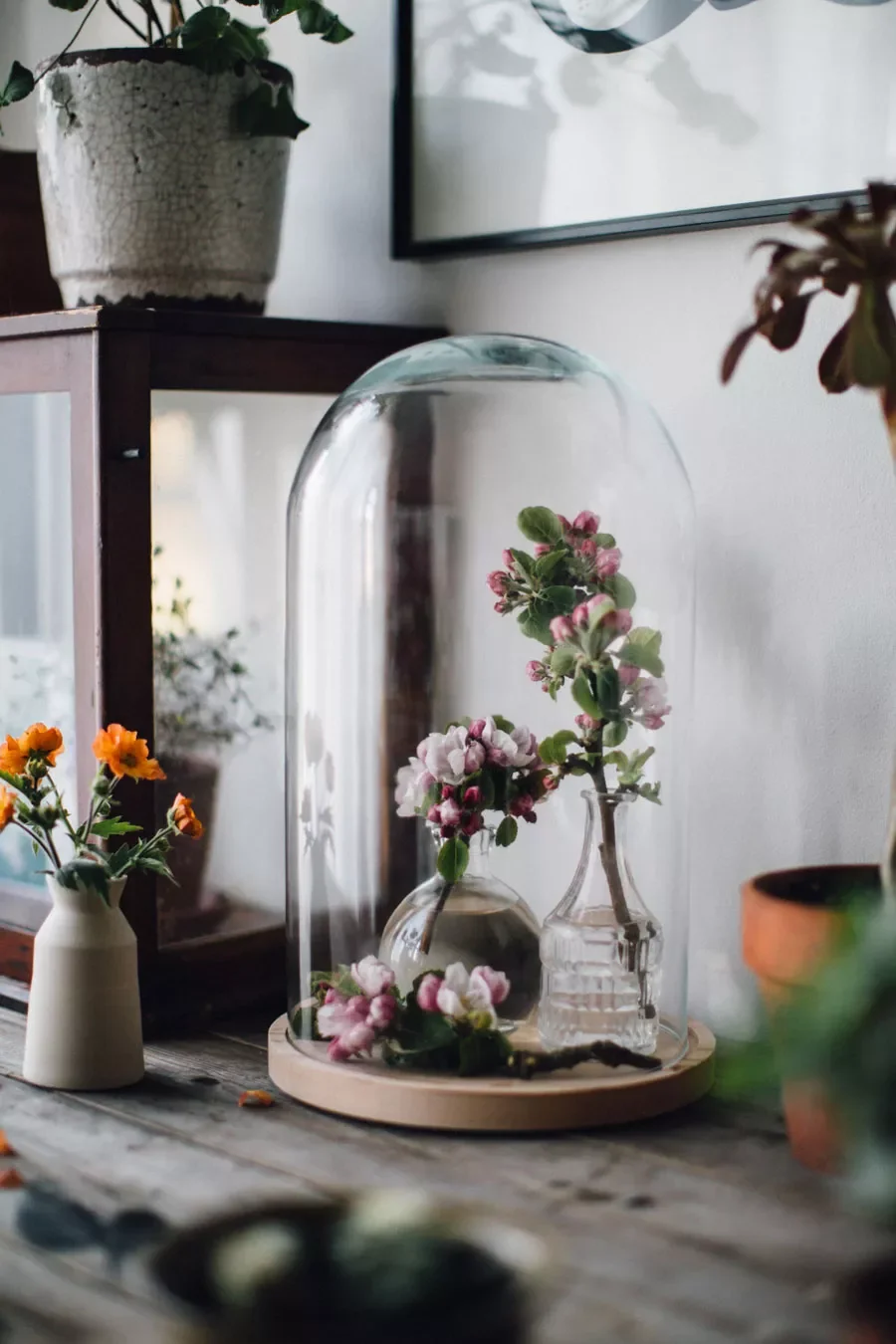 47 Fresh Spring Decorating Ideas to Welcome the New Season 1 Glass Cloche Display