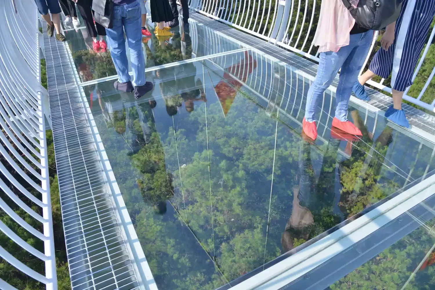 24 Beautiful Koi Pond Designs to Transform Your Outdoor Space Glass Walkway Over Koi Pond