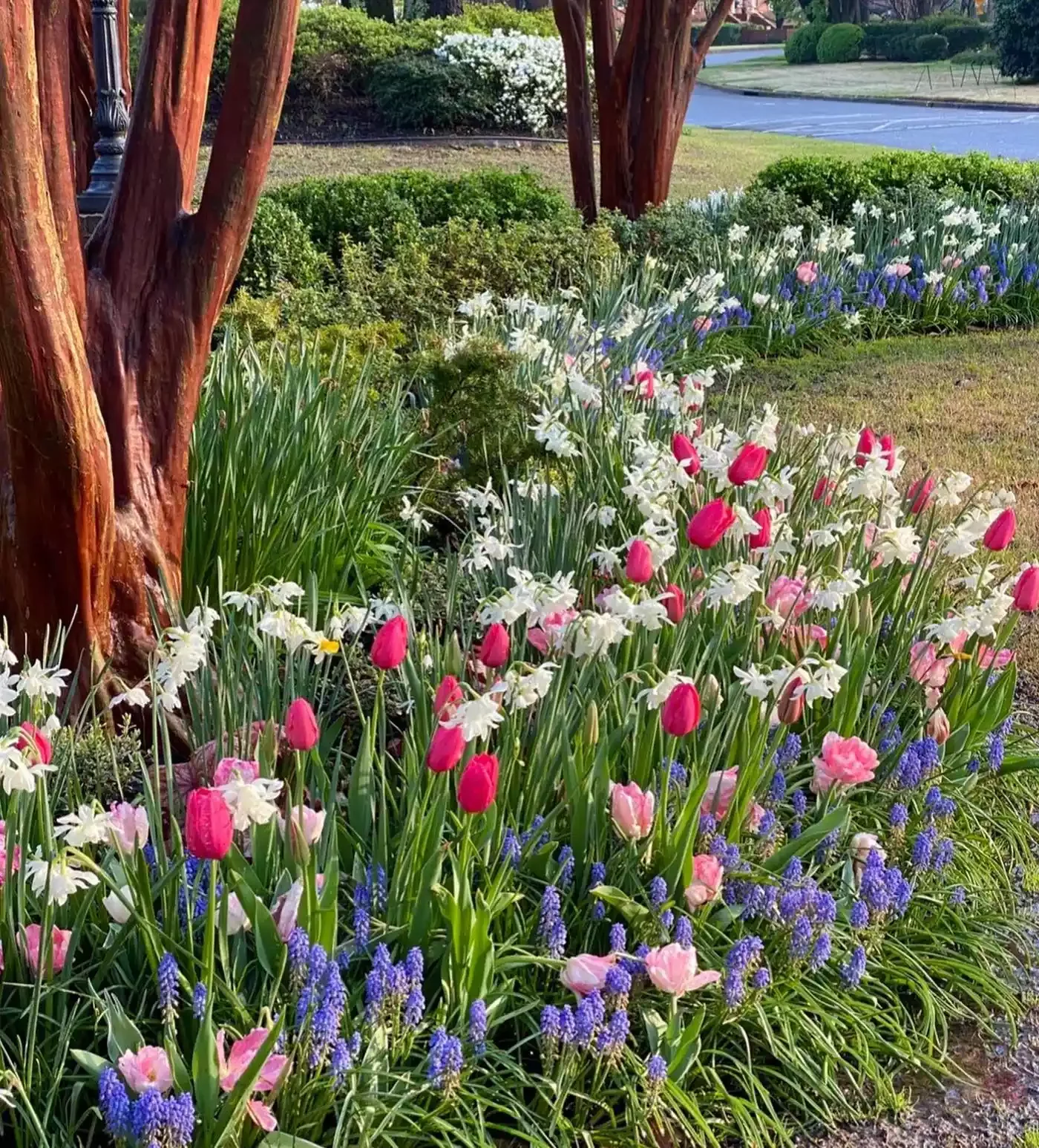 37 Stunning Flower Bed Designs That Will Transform Your Garden Go All Bulbs
