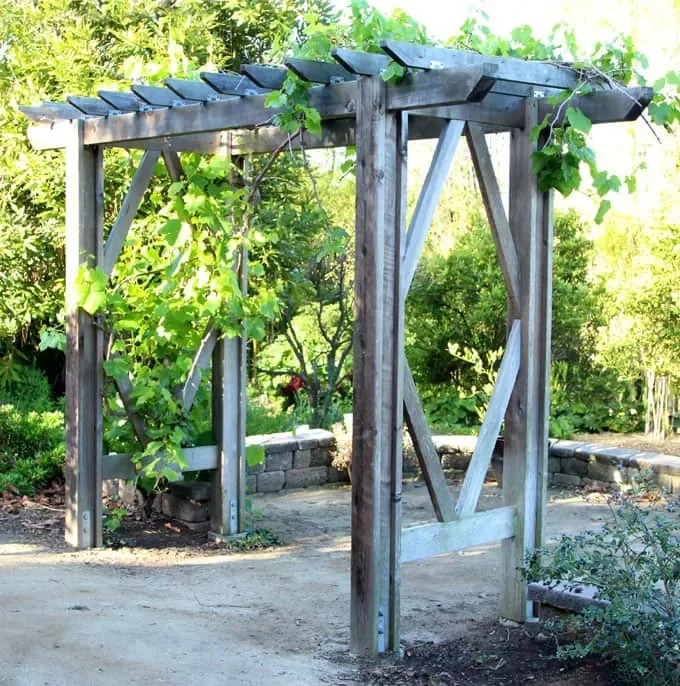 13 Beautiful DIY Garden Arch Projects to Transform Your Outdoor Space Grape Arch for the Garden