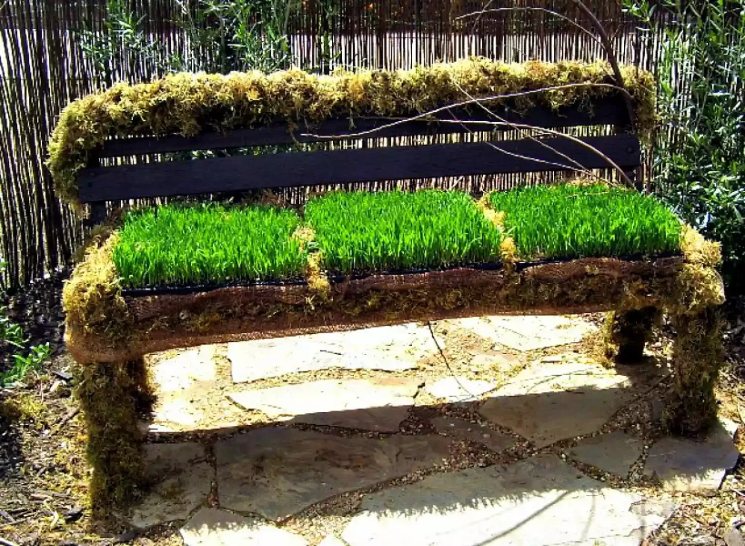Grass Bench