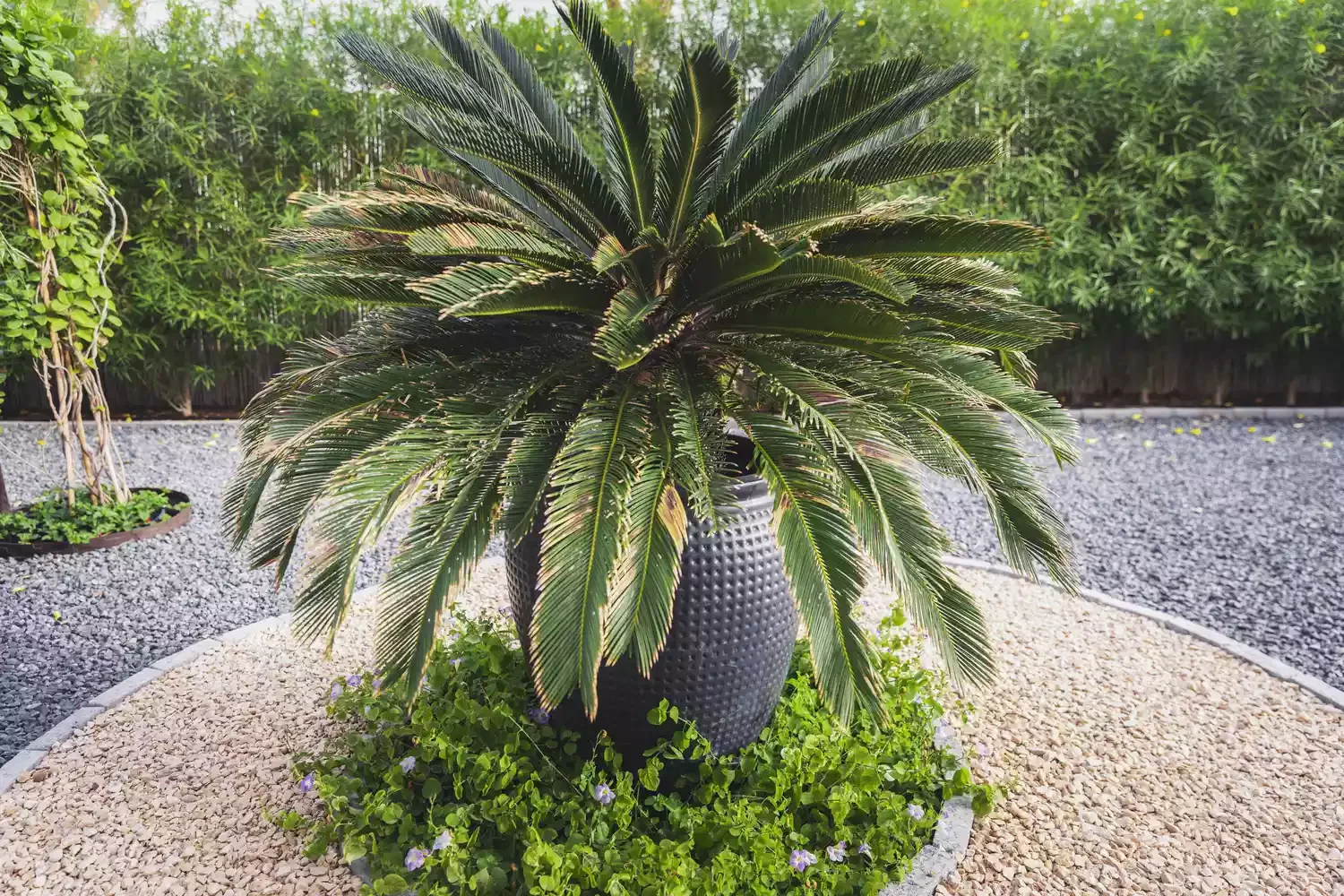 14 Creative Gravel Garden Ideas for a Beautiful Water-Smart Landscape Gravel Garden Oasis
