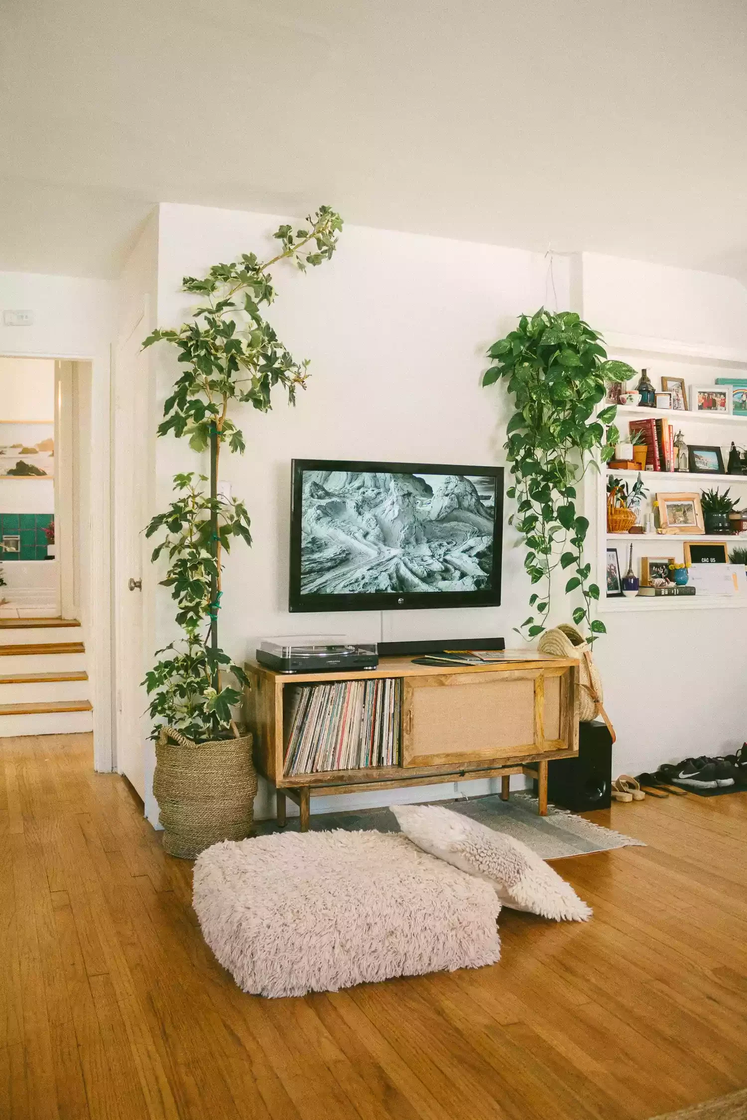 26 Stunning Plant Wall Ideas That'll Transform Your Home Into a Green Paradise 4 Green TV Wall
