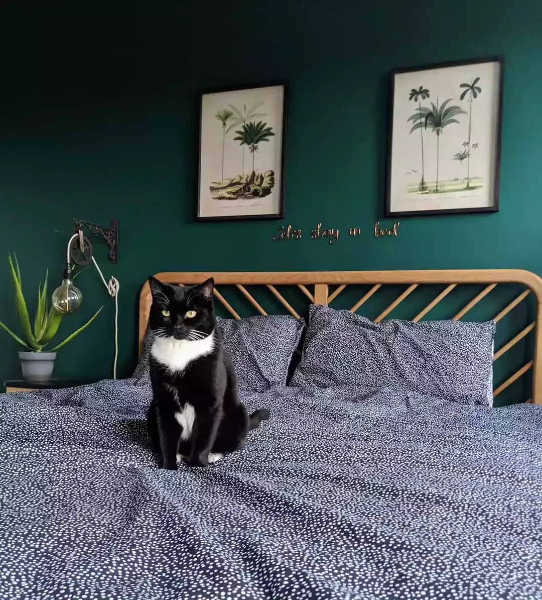 35 Stunning Green Bedroom Ideas That Will Transform Your Space 10 Green and Black and White